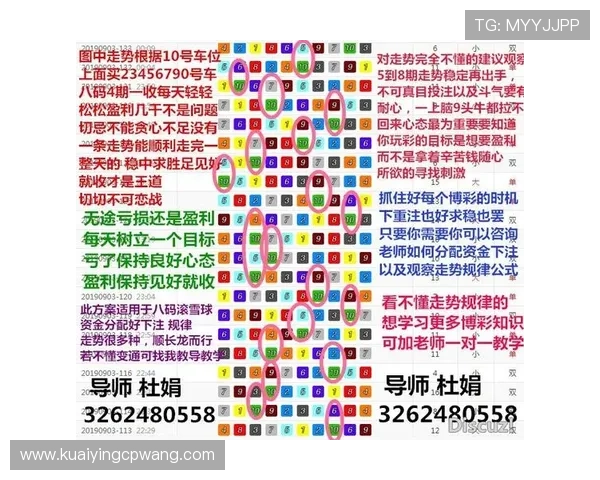 全面揭秘澳洲幸运10方式的实战技巧与精准计划经验分享指南大全